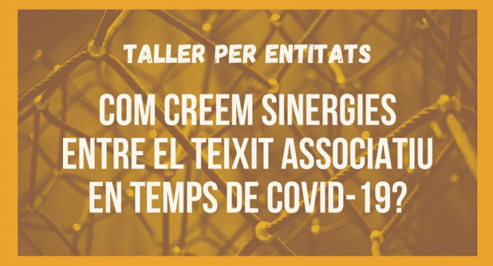 taller per entitats - com creem sinergies entre el teixit associatiu?